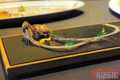 習(xí)近平向第30屆阿拉伯國家聯(lián)盟首