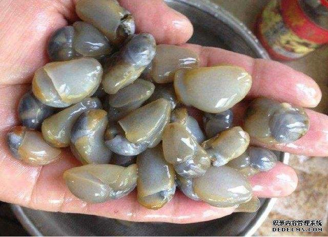 它比“小龍蝦”還受寵，味道鮮美，曾賣5元一斤，現(xiàn)想吃都買不起
