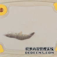步驟圖:鮮蝦去頭去尾、去殼、去蝦線。蝦的背部和腹部各有一條
