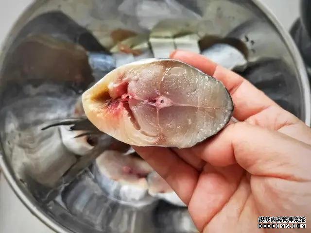 遇上這魚從不手軟，一買就是10斤，肉嫩刺少營養(yǎng)高，每次都吃不夠