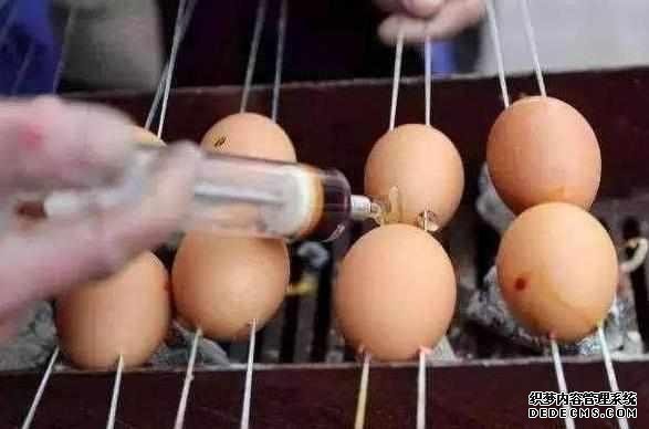 下崗大叔賣“天價”雞蛋，十元1串，食客：吃完一口還想第二口