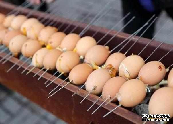 下崗大叔賣“天價”雞蛋，十元1串，食客：吃完一口還想第二口