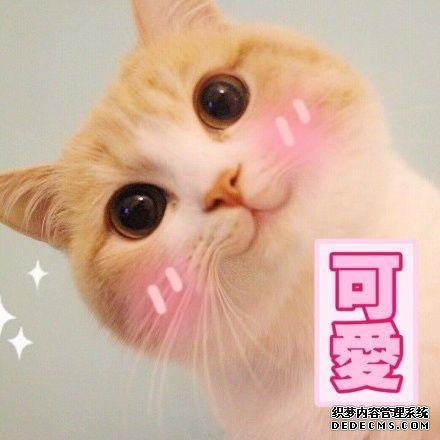 宅在家里也能做的勾魂小吃，每一樣都讓你口水直流