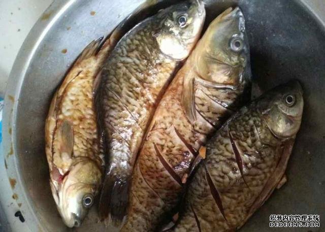 鯽魚我只服這樣做，稍微腌制風(fēng)干，做好一次可以吃上半年