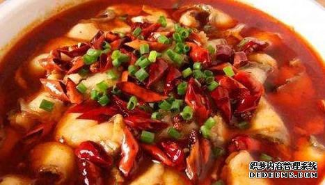 家常菜才是最解饞的，簡單燜一燜，汁鮮肉香，看她饞到舔盤