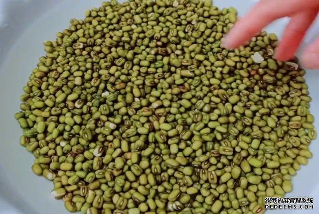 綠豆別熬粥啦，試試這樣做，5元食材做一大盤，孩子吃了還想吃