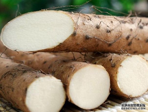 健脾護(hù)胃的山藥，就是要做出花樣才好吃呢，雞蛋卷加薯?xiàng)l，超好吃