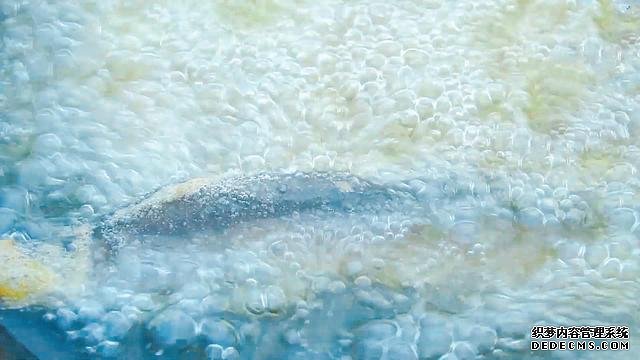 春節(jié)宅家中，捉了盆“水中人參”，寬油大火炸到焦香，很下飯
