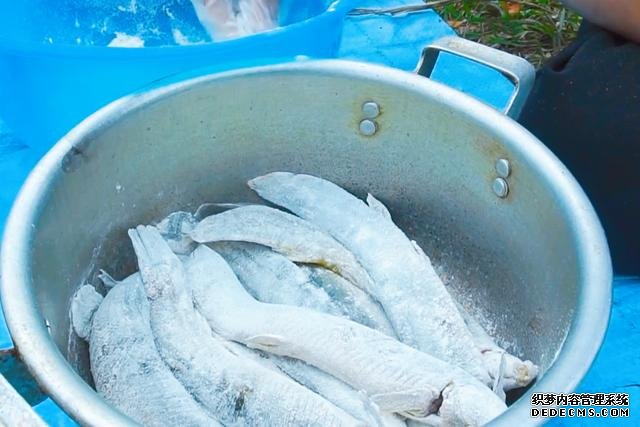 春節(jié)宅家中，捉了盆“水中人參”，寬油大火炸到焦香，很下飯