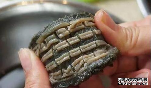 海參還能這樣吃：詳細(xì)泡發(fā)方法和做法步驟，滋補(bǔ)養(yǎng)顏，強(qiáng)身抗衰老