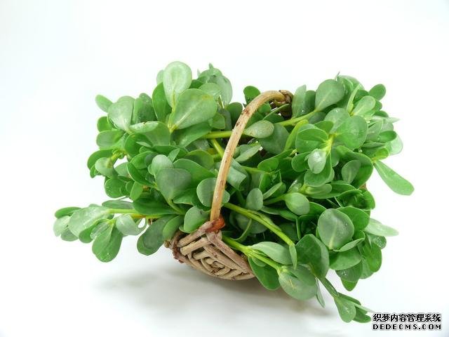 春分時(shí)節(jié)這菜要抓緊吃，再晚又得等1年，路邊隨處可見(jiàn)，營(yíng)養(yǎng)豐富