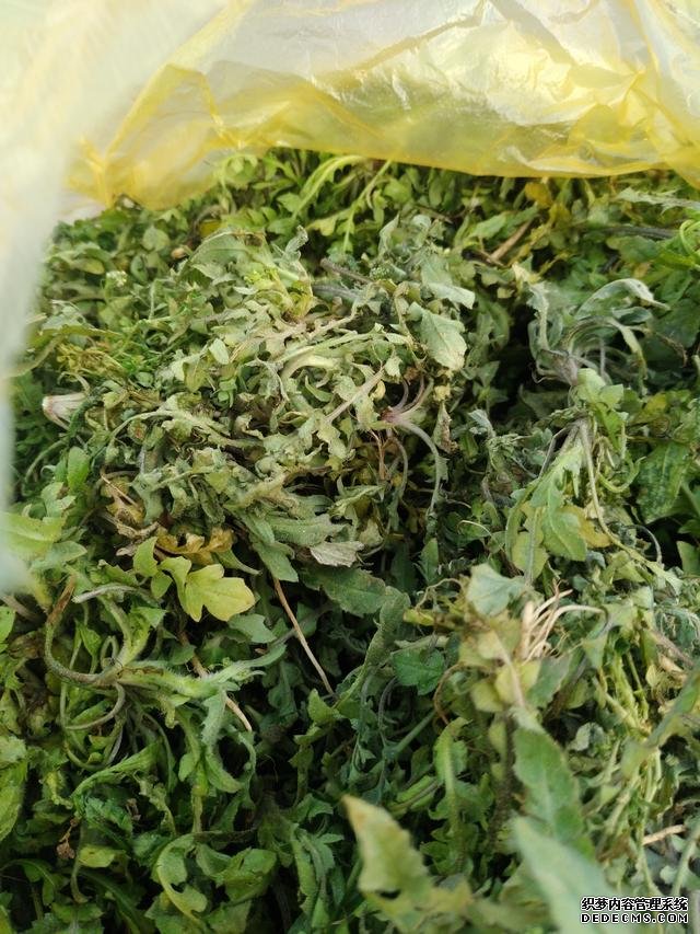 春分時(shí)節(jié)這菜要抓緊吃，再晚又得等1年，路邊隨處可見(jiàn)，營(yíng)養(yǎng)豐富