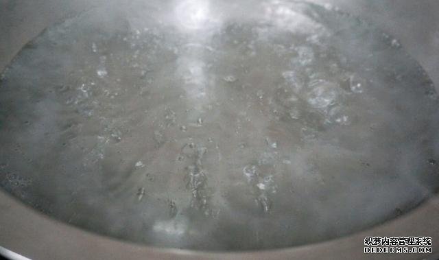 最正宗的蠔油生菜，快手簡單還減肥，2塊錢就能做一盤