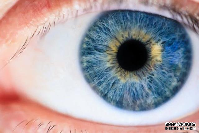 眼睛疲勞竟然會(huì)降低免疫力？是的