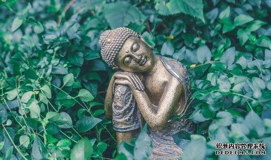 吃得少就能活得更長(zhǎng)更健康？研究發(fā)現(xiàn)飲食限制下，壽命和健康壽命并沒有關(guān)聯(lián)