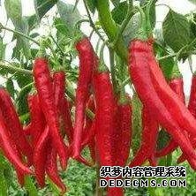淺談夏季除濕問(wèn)題