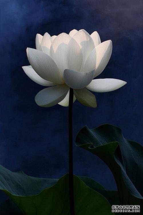 徐文兵：對(duì)于養(yǎng)生來(lái)說(shuō)，方向比方法更重要