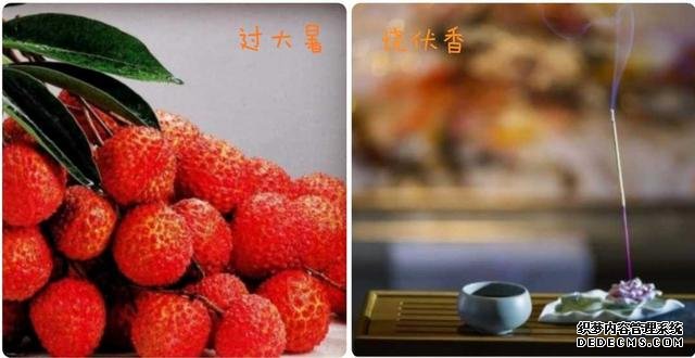 大暑·二十四節(jié)氣·2020