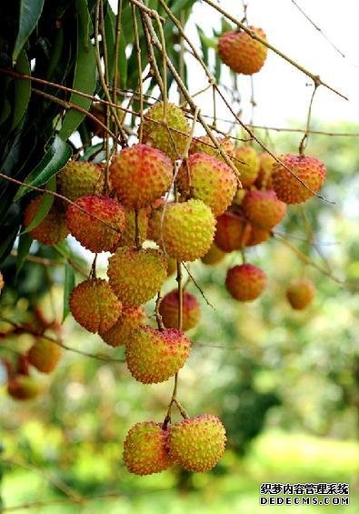 為什么一到夏天，你總是沒胃口？