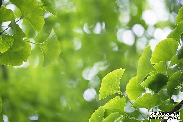 久坐、活動(dòng)量小的職場人速查！這些指標(biāo)不合格，很“傷心”