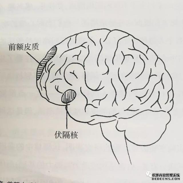 如何鍛煉積極的心態(tài)