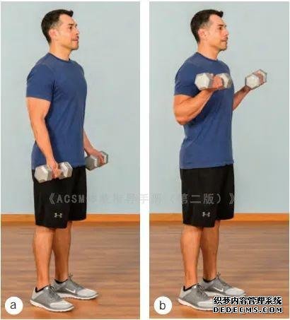 健身房10個力量訓(xùn)練動作教程，詳細(xì)講解，很適合初學(xué)者學(xué)習(xí)