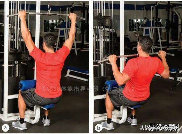 健身房10個力量訓(xùn)練動作教程，詳細(xì)講解，很適合初學(xué)者學(xué)習(xí)