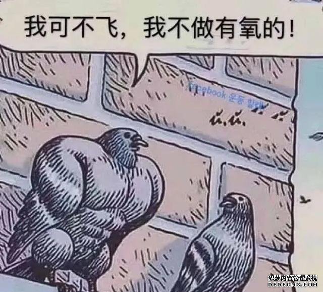 51條健身知識(shí)，看完再?zèng)Q定怎樣健身