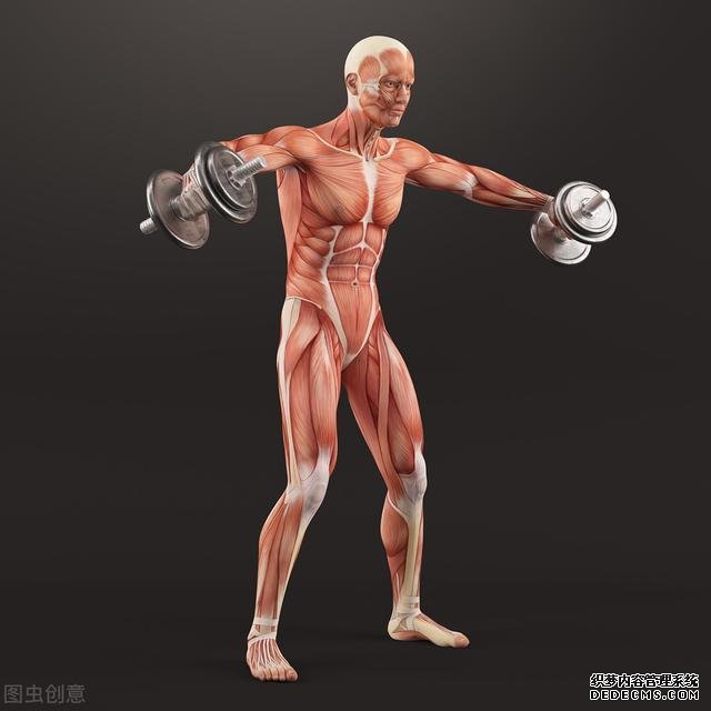 新手健身，應(yīng)該怎么安排訓(xùn)練，如何開啟健身計(jì)劃呢？