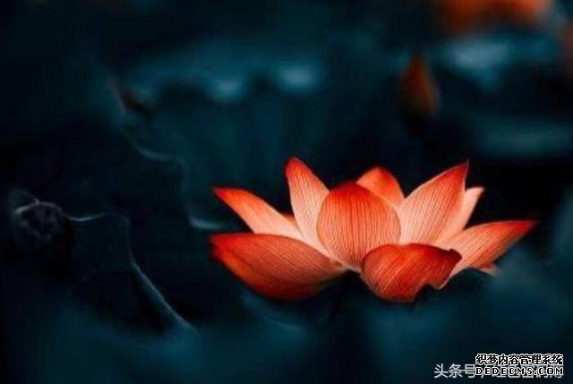 保持心態(tài)健康的八大法則