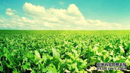 做人，心態(tài)要健康！