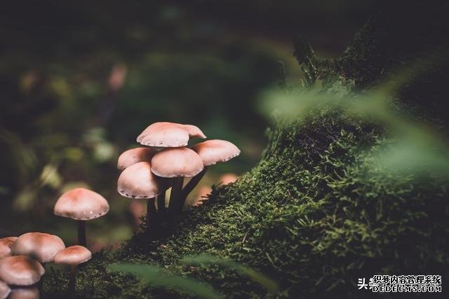7種心理暗示，讓你保持健康心態(tài)