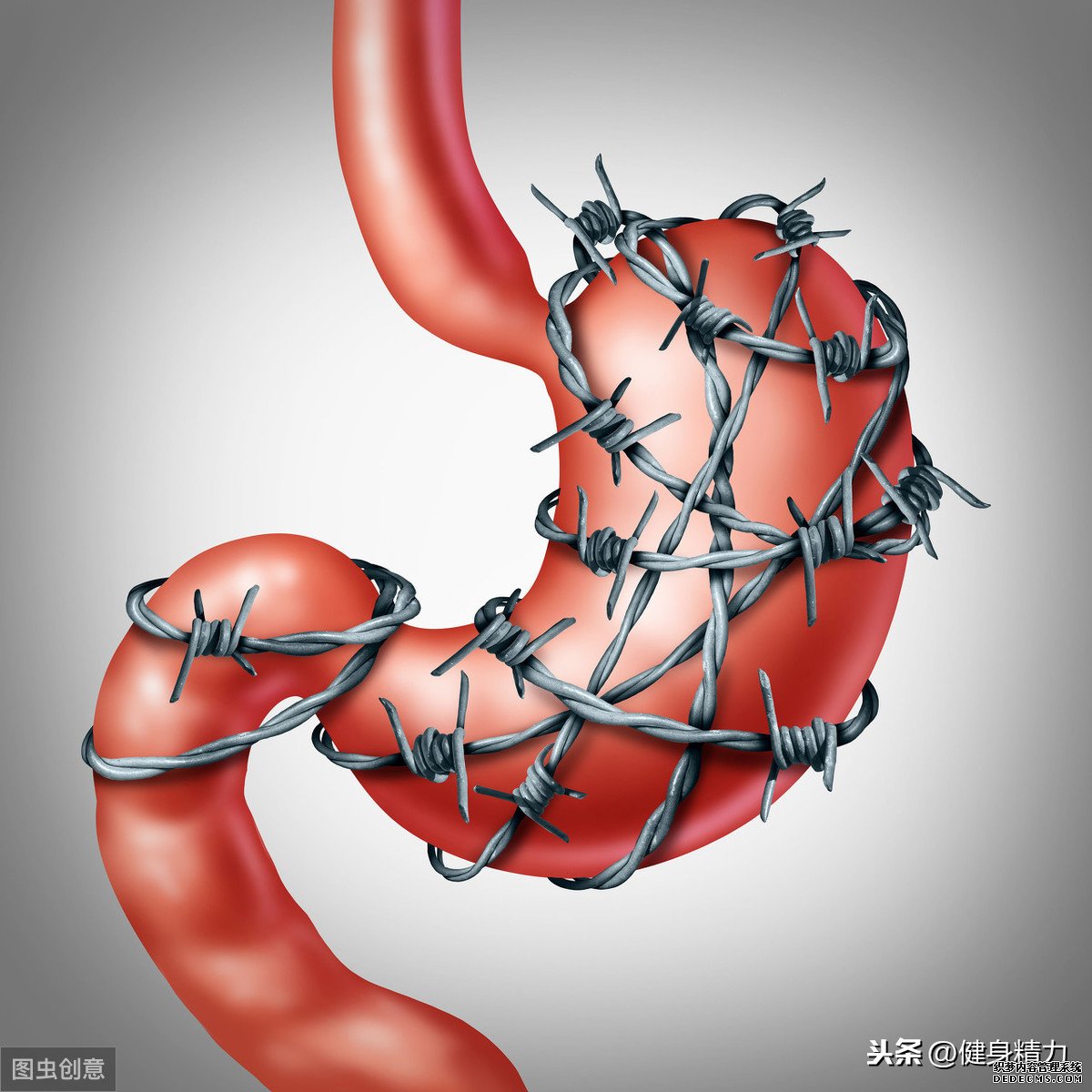 怎么做好健身飲食管理？把握好這幾點(diǎn)就可以