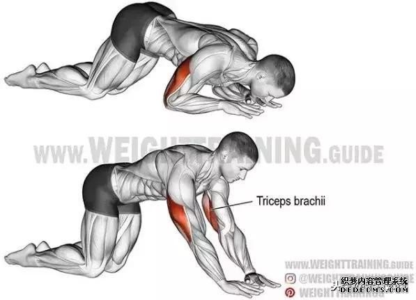 全身各部位健身動(dòng)作圖解及注意事項(xiàng)，通俗易懂，讓你健身不求人