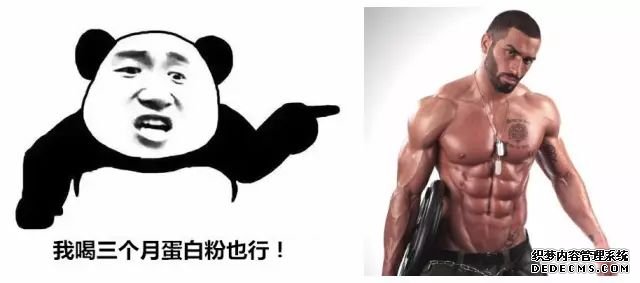 一萬次的想法，比不上你一次全身心的投入到健身當(dāng)中去