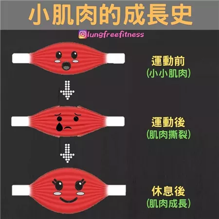 圖文并茂的健身小貼士（建議收藏！）