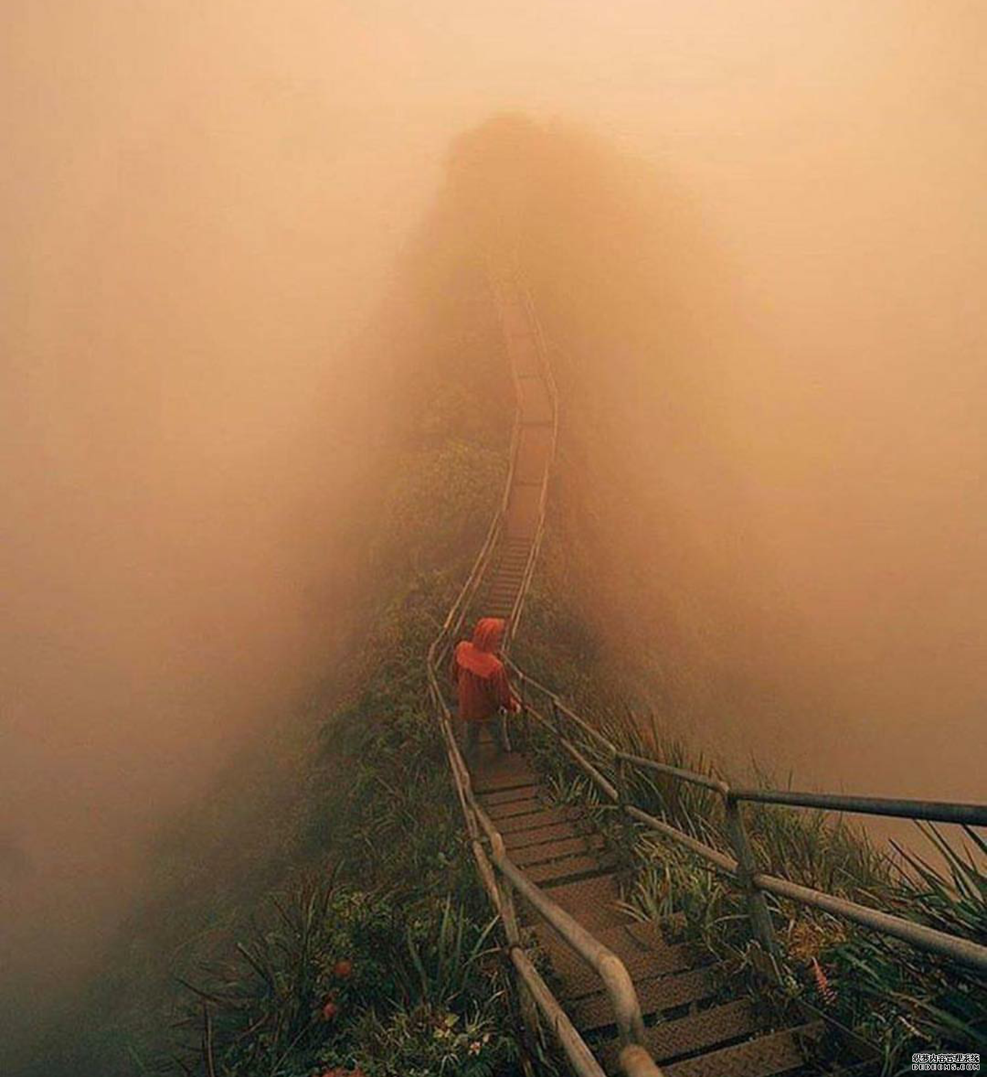 健身，心態(tài)和技術一樣重要