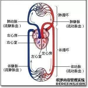 后疫情時代的自我重構：養(yǎng)心3.0-4D保健