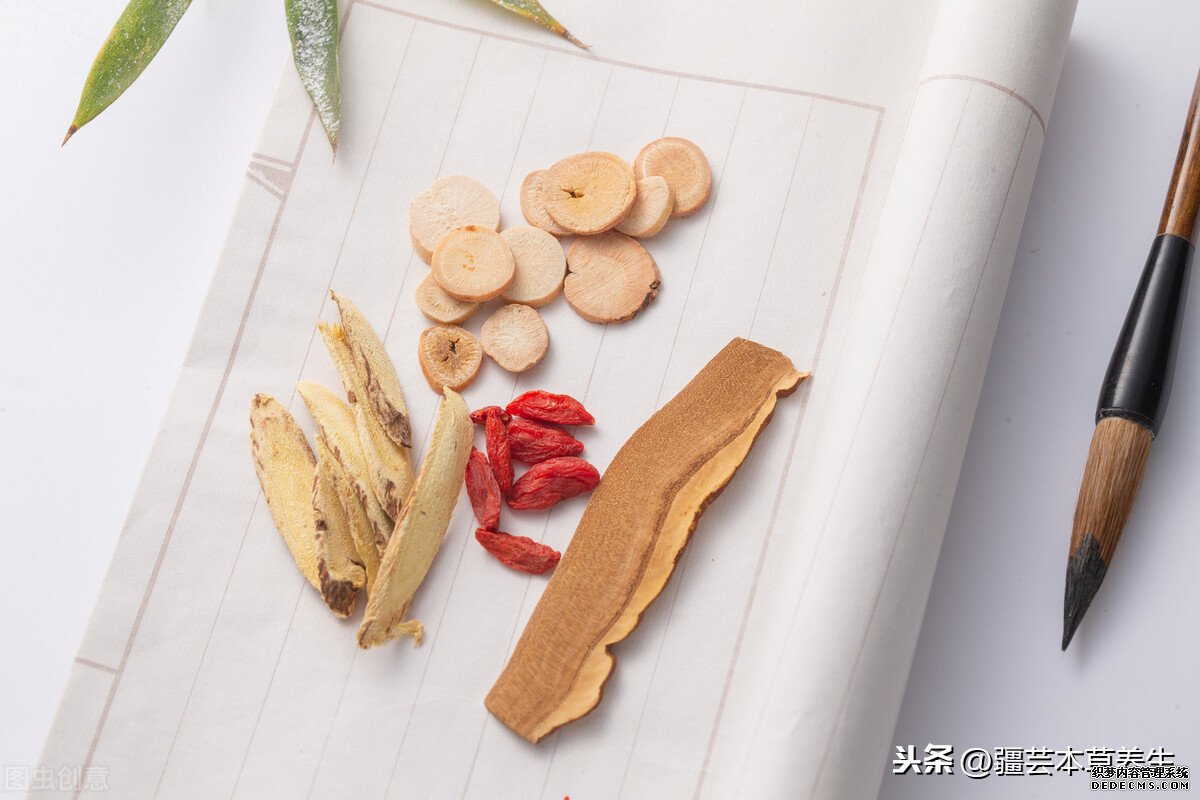 身體虛弱能長(zhǎng)期和鹿角靈芝草泡水嗎？鹿角靈芝有啥禁忌？