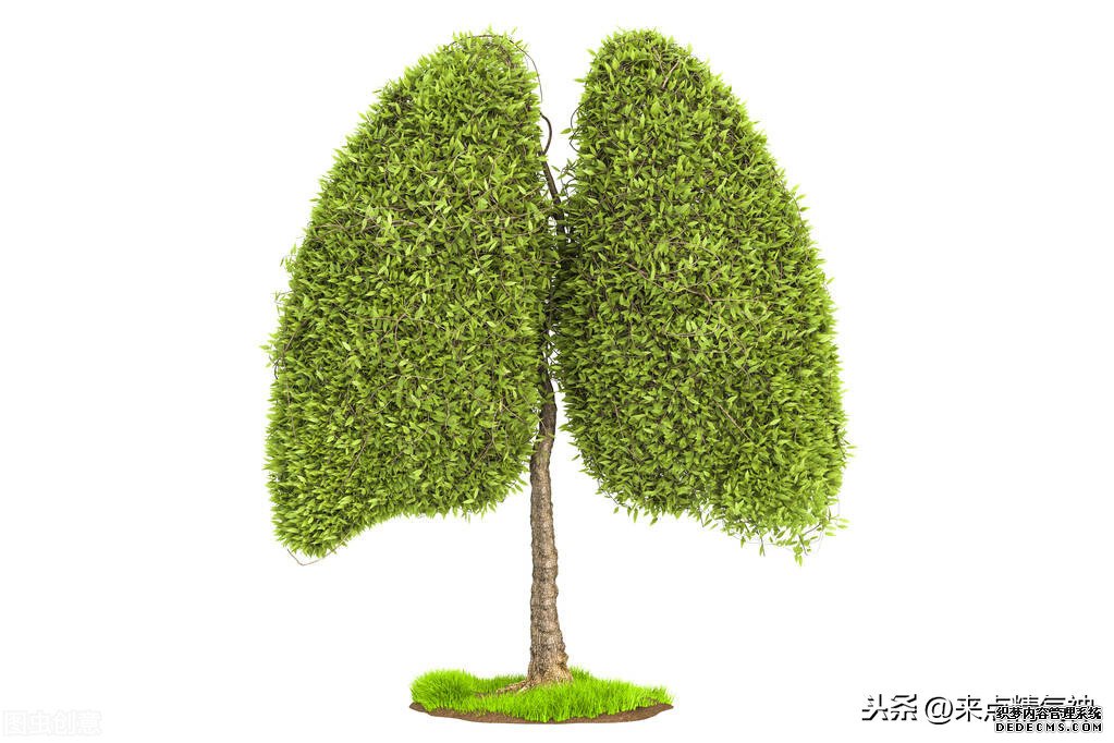 每天3次！幫助鼻子防止寒氣侵犯體內(nèi)。鼻炎或鼻子不靈敏的注意