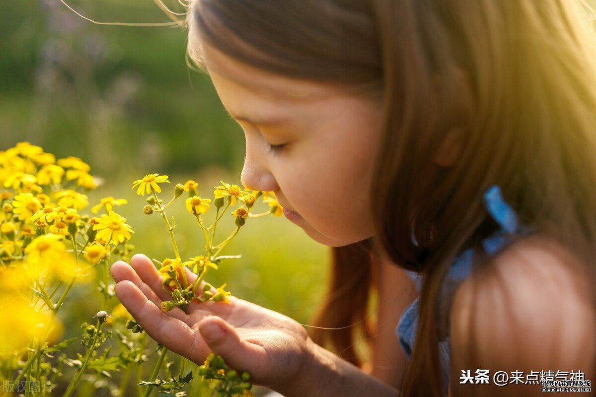 每天3次！幫助鼻子防止寒氣侵犯體內(nèi)。鼻炎或鼻子不靈敏的注意