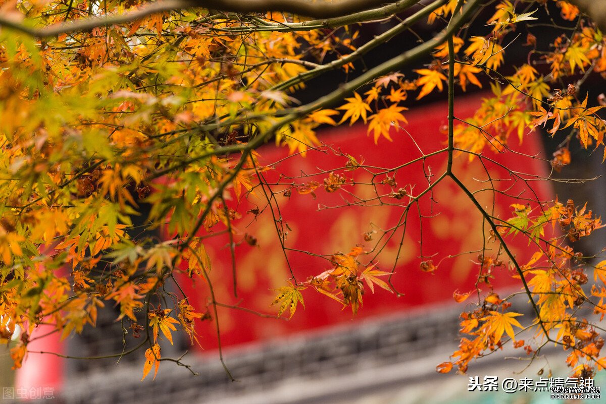每天3次！幫助鼻子防止寒氣侵犯體內(nèi)。鼻炎或鼻子不靈敏的注意