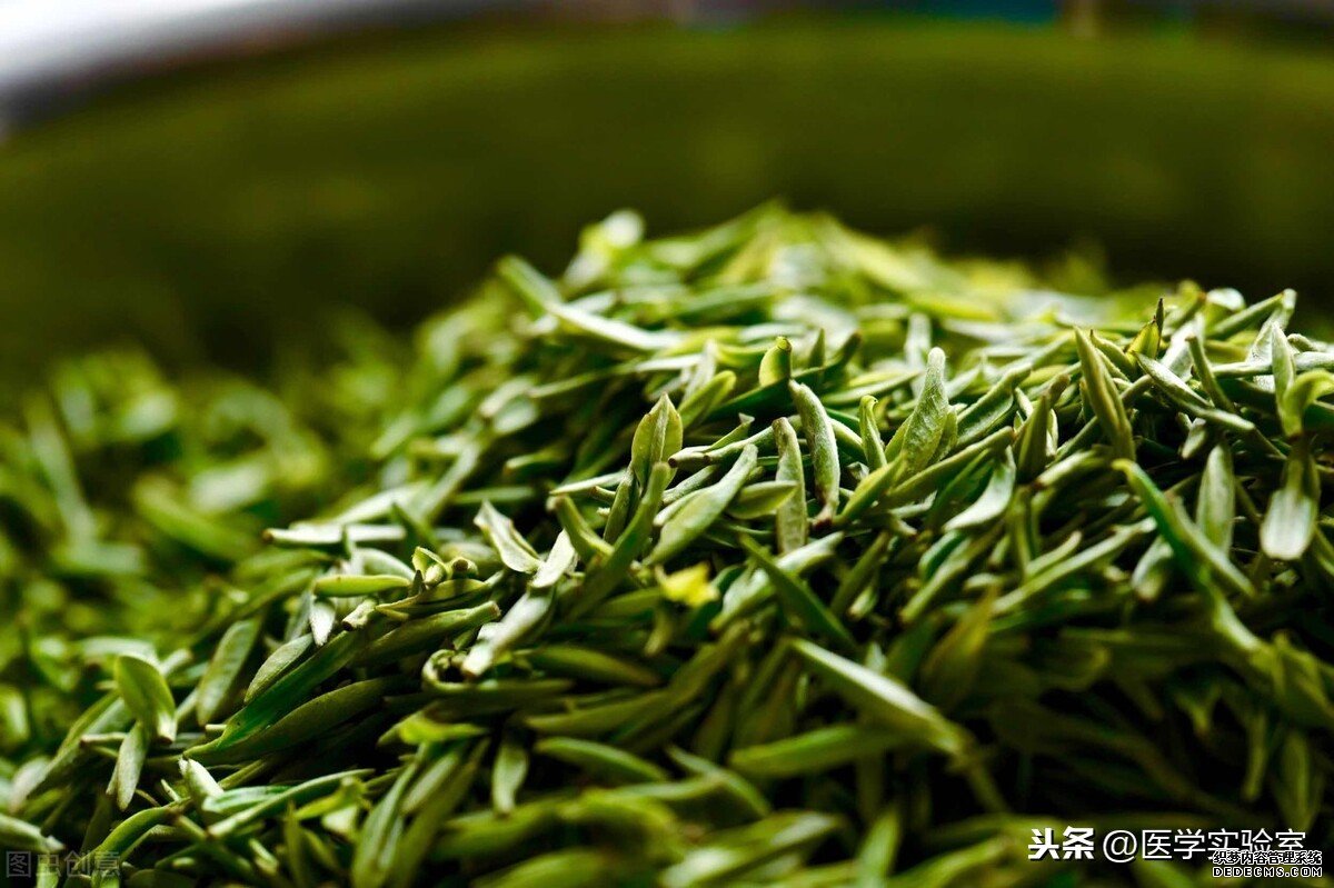 喝茶的“六大禁忌”，會喝茶也要懂茶，不讓茶傷害到自己