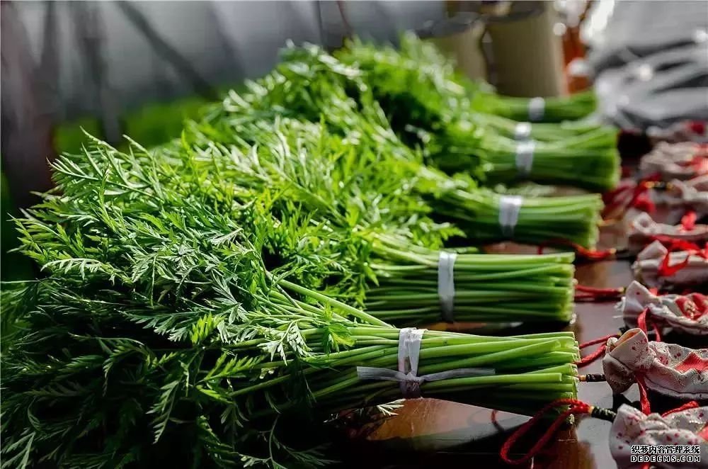 血管斑塊可以消除嗎？做到這四點，血管會被洗干凈