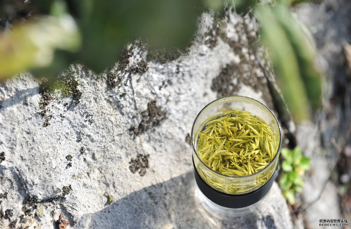 茶葉是酸性還是堿性？