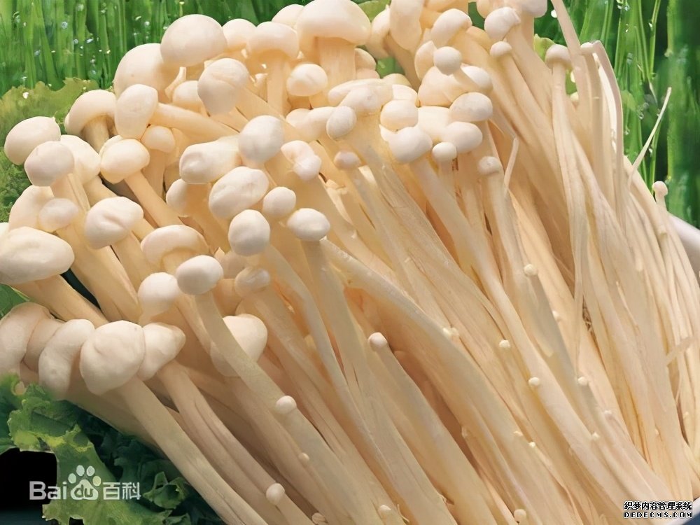 這些食物吃起來有風險，一定要當心。